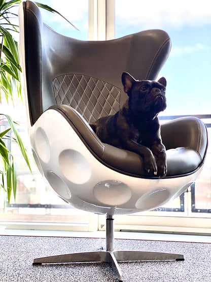 Dimple Golf Ball Chair with Dog